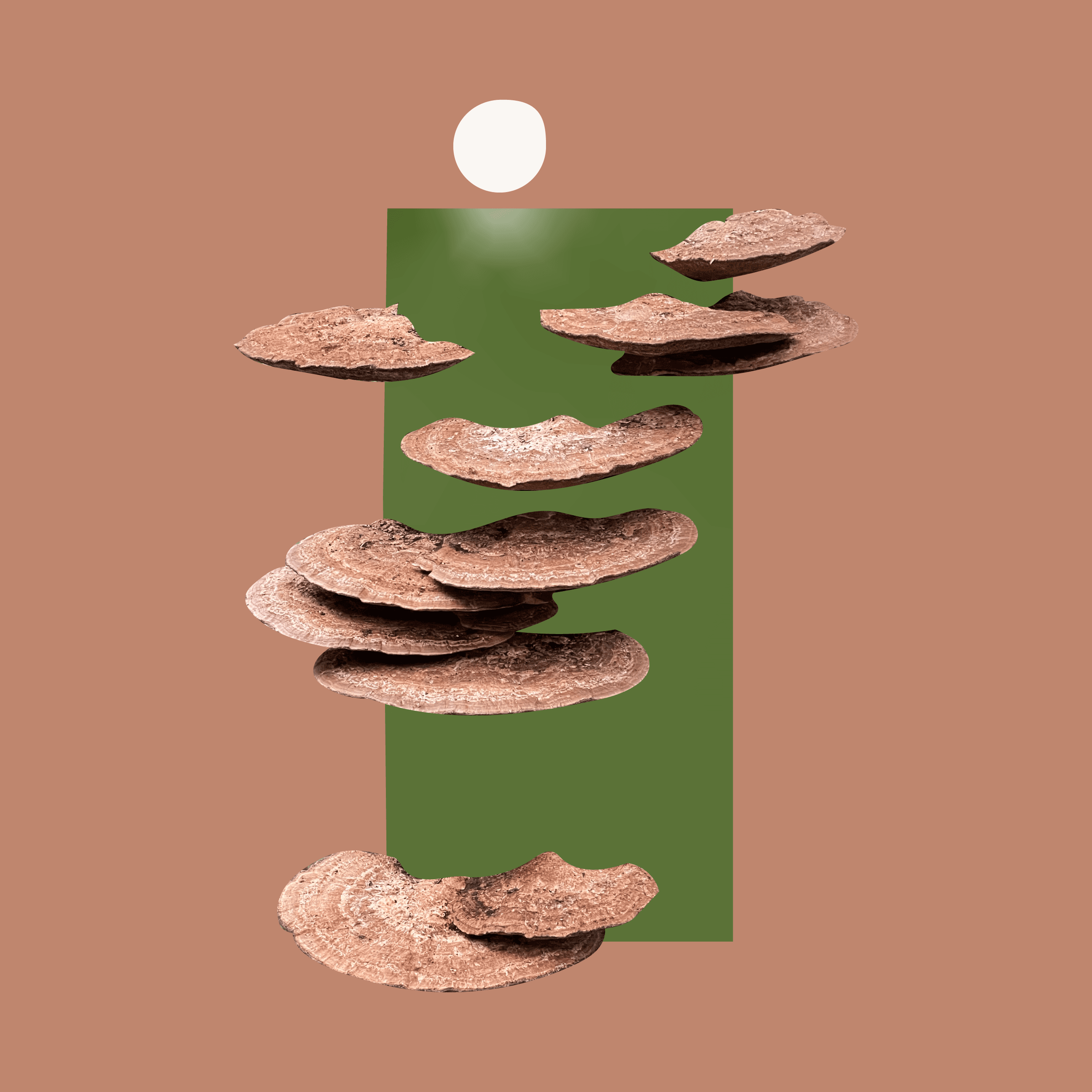 The artwork displays a series of mushroom caps in varying shades of brown, showcasing their textured surfaces with visible grooves and speckles. They are arranged in a vertical stack, giving the impression of floating above a rectangular green shape. The background is a warm, muted brown that complements the earthy colours of the mushrooms. At the top, there is a soft white circle that suggests a light source, creating a gentle highlight in the scene. The overall composition features a balance of organic and geometric forms, contributing to a serene atmosphere.